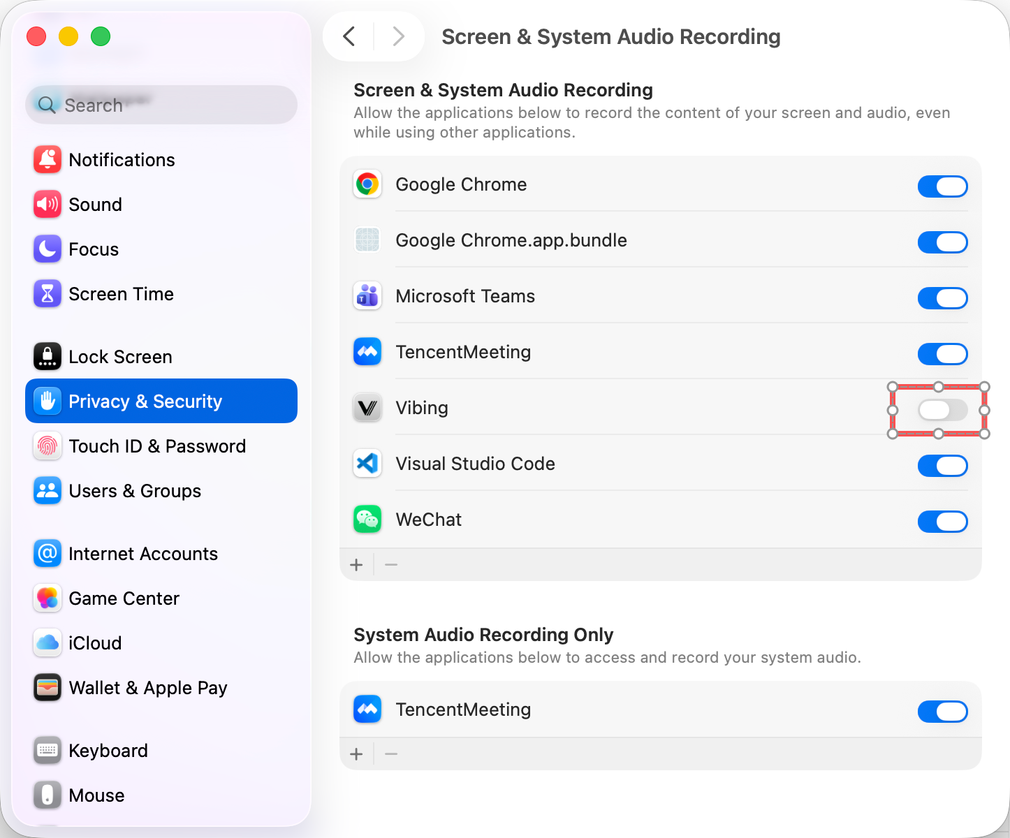 Screen Recording — toggle Vibing ON